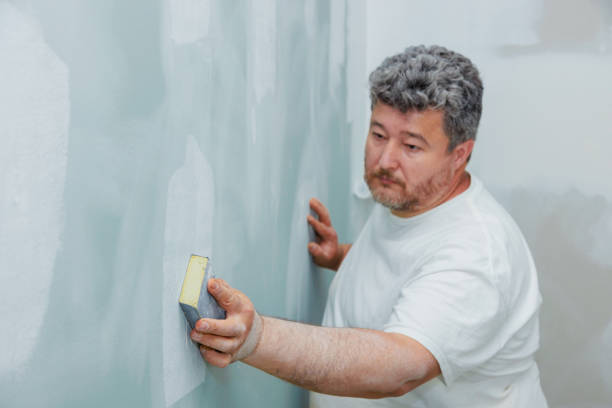 Best Asbestos and Lead Testing During Mold Inspection  in Shiprock, NM